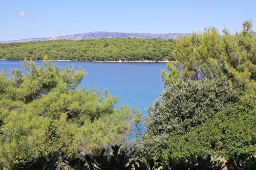 Apartments By The Sea Jelsa (hvar) - 5723