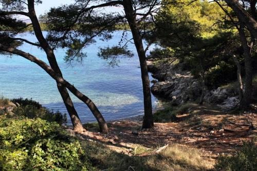 Apartments By The Sea Jelsa (hvar) - 5723