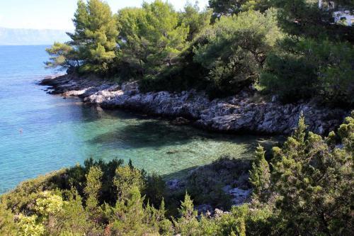 Apartments By The Sea Jelsa (hvar) - 5723
