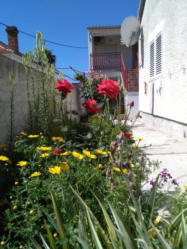 Apartment Cvita