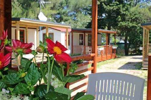 Mobile Homes Rapo?a