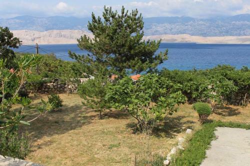 Apartment Bosana 9374a