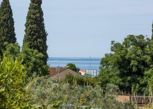 Apartamentos Fa?ana Home By The Sea