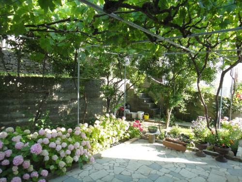 Apartments Dijana