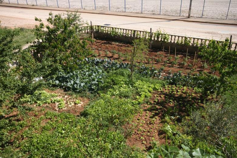 Apartments With A Parking Space Bibinje (zadar) - 6204