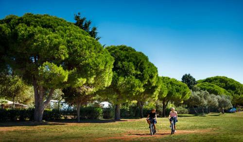 Apartments Amarin
