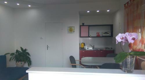 Apartment Cvjetna