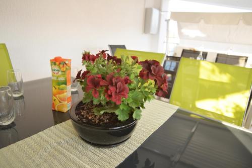 Apartments Lepur