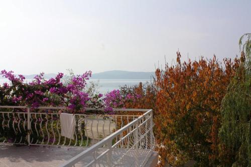 Apartment Bibinje 5865b