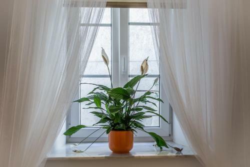 Charming Apartment Tanja