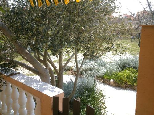 Apartment In Razanac/zadar Riviera 7828