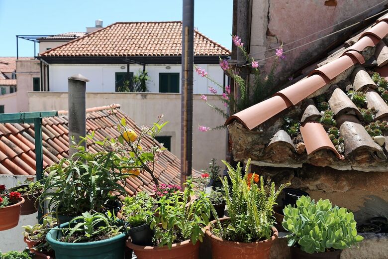 Hostal Malena Palace