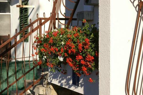 Apartment Sveti Filip I Jakov 4299a