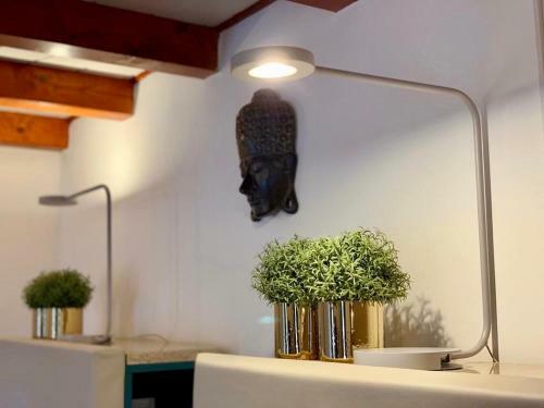 Apartamentos Guest House Pina