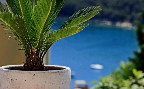 One-bedroom Apartment In Rabac/istrien 16698