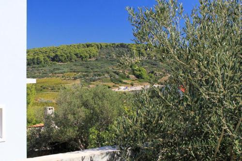 Apartamentos Studio Lumbarda 9271a