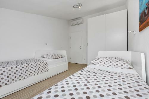 Apartment Letica