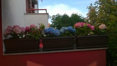 Apartment Adrijan II