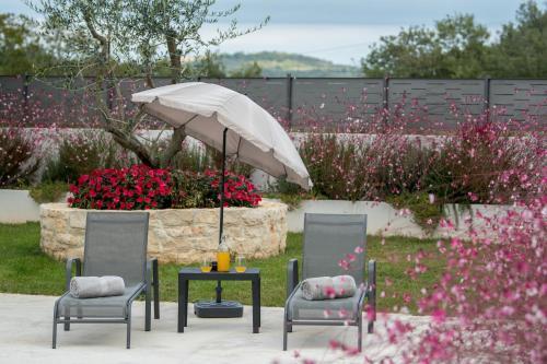 Apartments Viler
