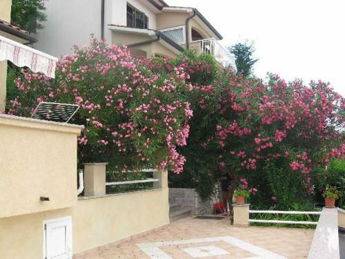 Apartments Silmare