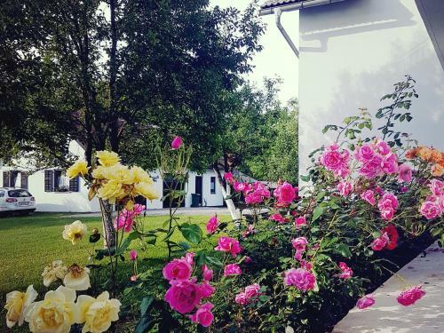 Apartments Patar