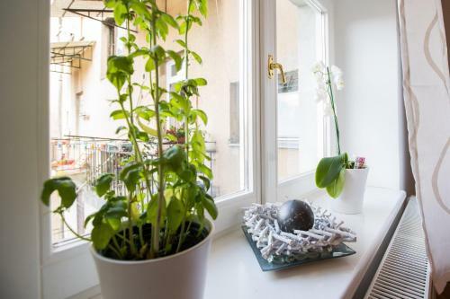 Apartment Ribnjak