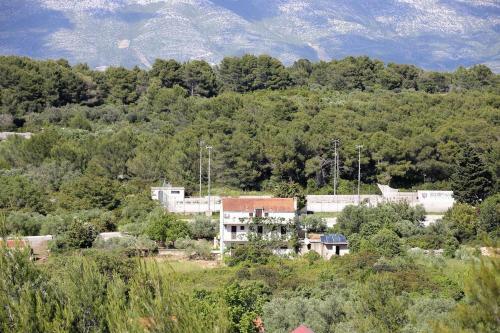 Apartments With A Parking Space Lumbarda (korcula) - 4411