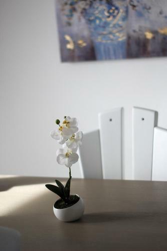 Apartments Silvija