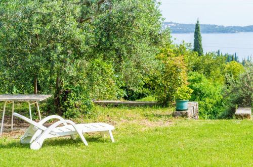 Color Apartments