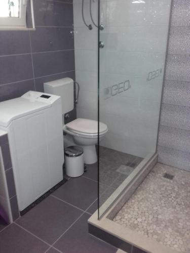 Apartment Rukavac 8839c