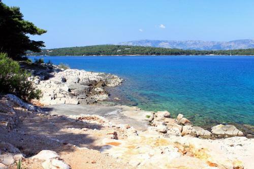 Apartments By The Sea Jelsa (Hvar) - 8729