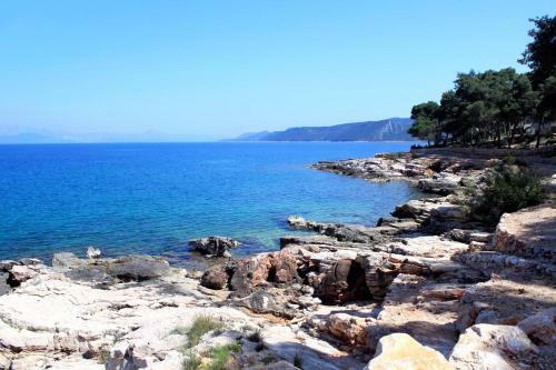Apartments By The Sea Jelsa (Hvar) - 8729