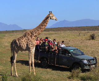 Hotel Garden Route Game Lodge
