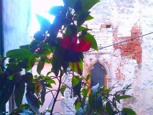 B&B Stone Town
