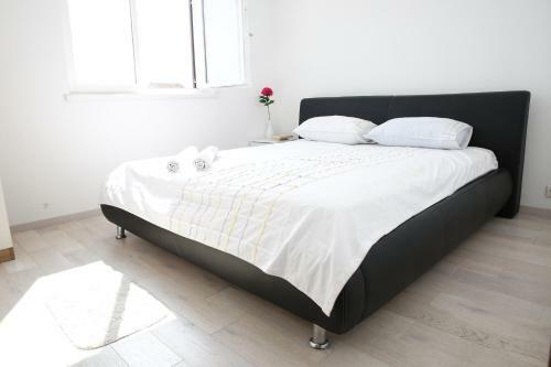 Apartments Centar