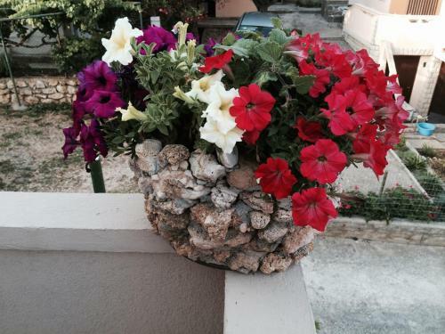 Apartments Jasna