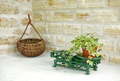 Agroturismo Country House Vinko