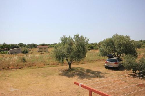 Apartment Pasman 8217b