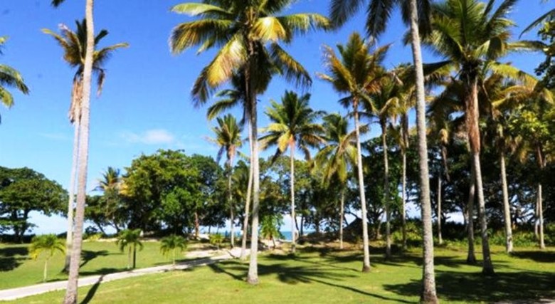 Hotel Blue Jacktar