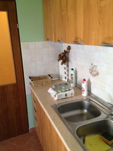 Apartment Iva