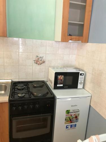 Apartment Iva