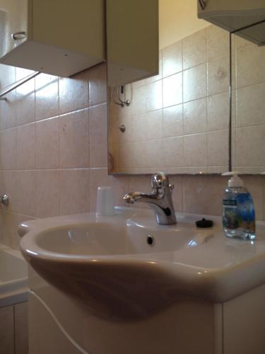 Apartment Iva
