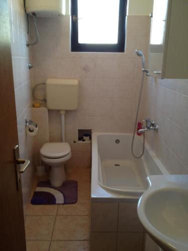 Apartment Iva