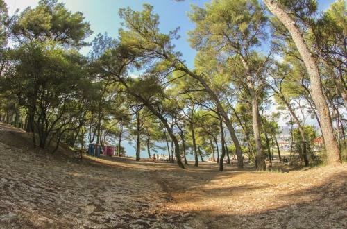 Apartment Pinus