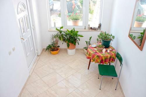 Hostal Apartments Dani