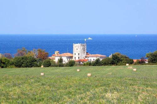 Hostal Studio Dajla 6935a