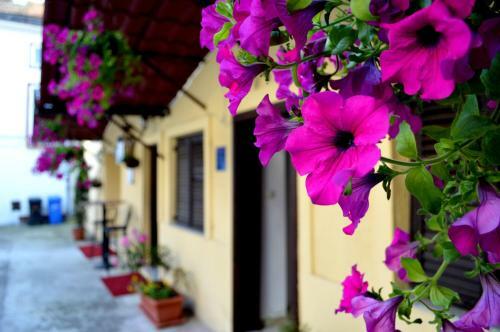 Hostal Rooms Ara?i?