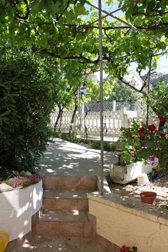 Apartment Barbat 4977a