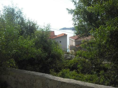 Apartment Veselka
