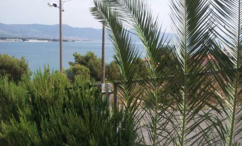 Apartamentos Villa Mimi